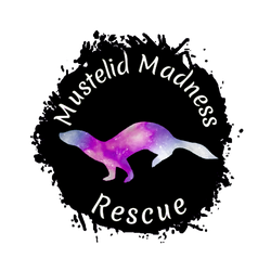 Mustelid Madness Rescue 